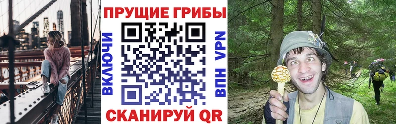 Галлюциногенные грибы MAGIC MUSHROOMS  Купить  Тетюши 